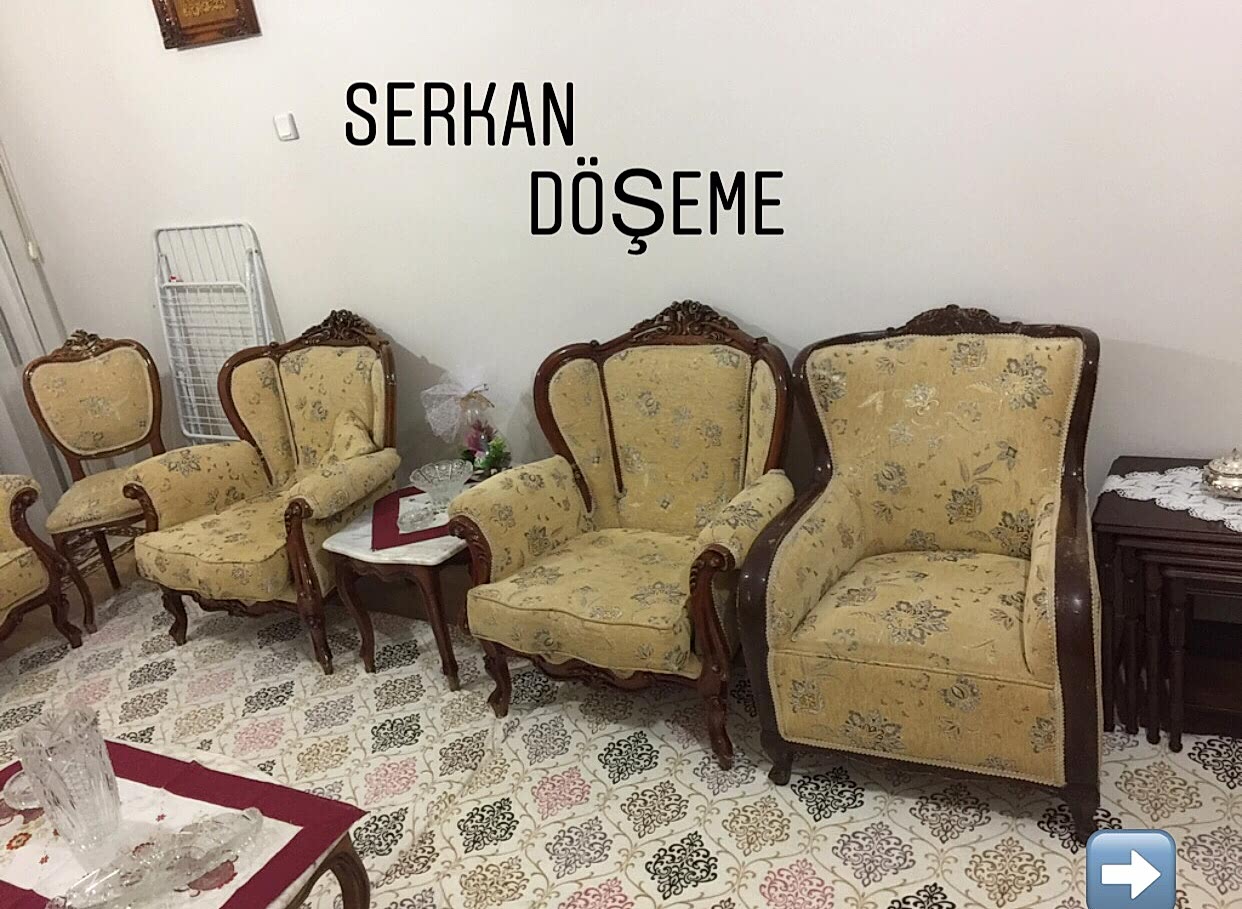 Koltuk Döşeme Renkleri 